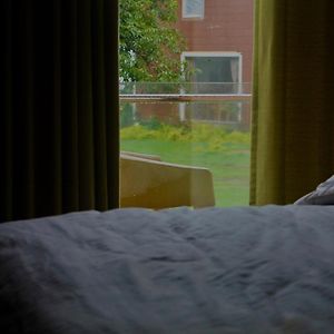 Suite Garden View